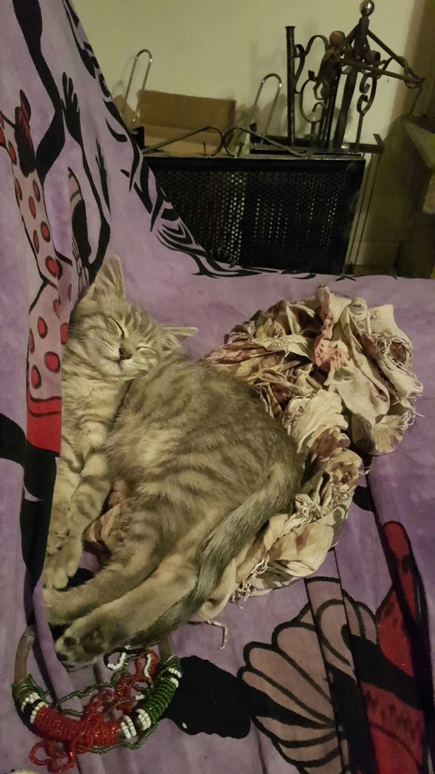 Quando il sonno arriva... arriva...