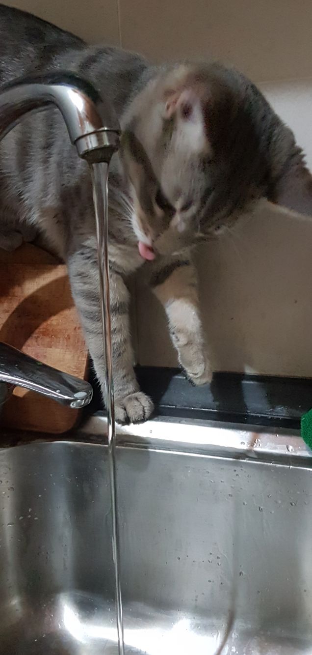 Che buona l acqua fresca..