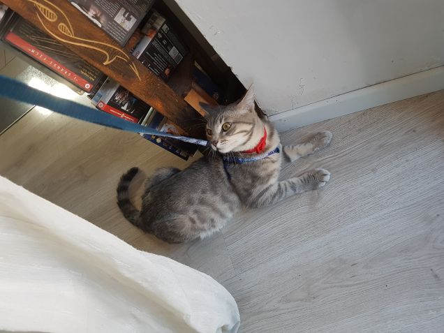 La prima uscita...terrificante..