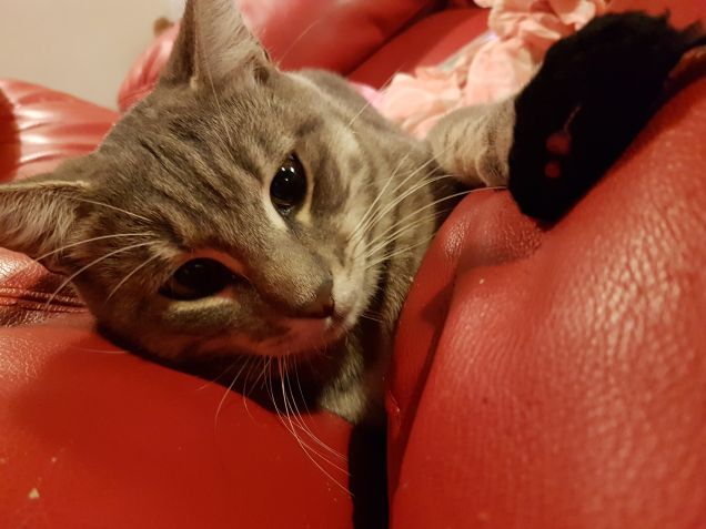 Di notte si gioca meglio...