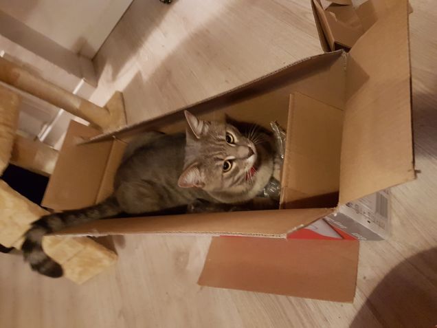 Pronto ...da imballare...