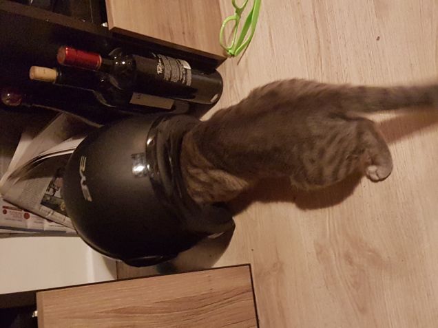 Pronto per andare in moto..