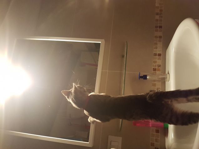 Sono veramente bello