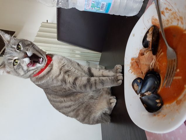 Ci sarà un pochino anche peŕ me?