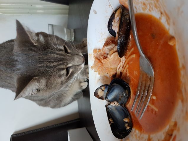 Dal profumo è... buono...