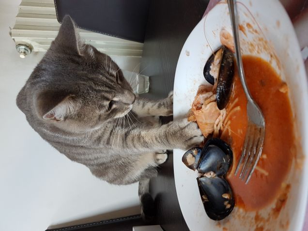 Senza farmi vedere...provo a...mi è andata male...