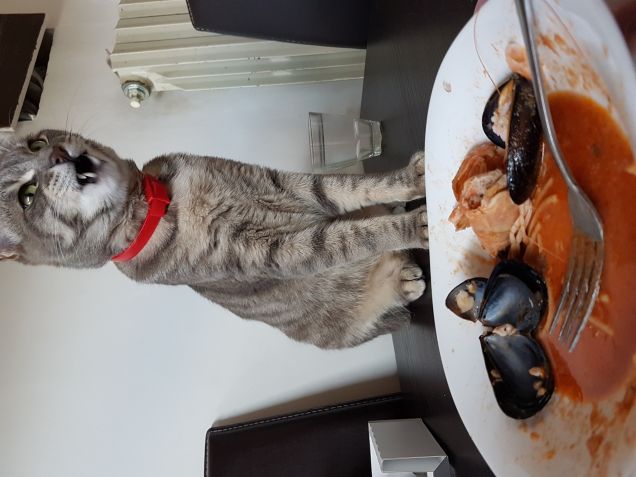 Nn si può rubare nulla...uffa.. 