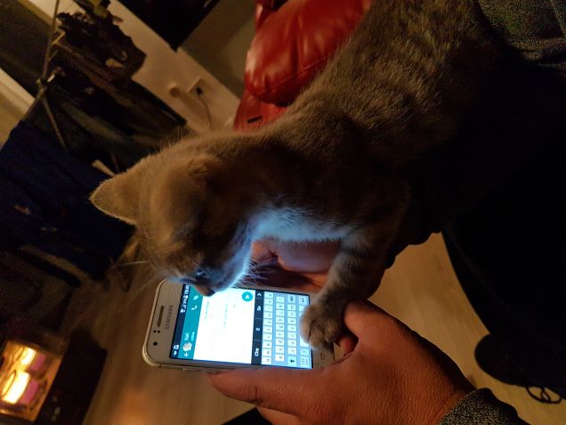 Cosa ce scritto?????