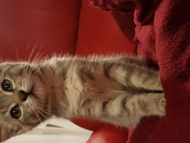 La mia prima settimana con la mia mams nella mia vera casa