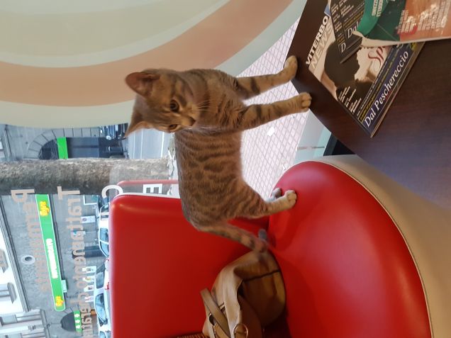 Dalla parrucchiera...aspettando la mia mams 