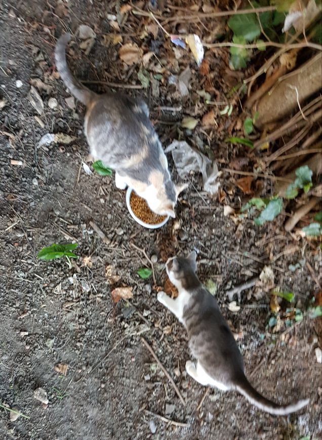 Dopo una lunga giornata di lavoro... eccola...cn i suoi bimbi