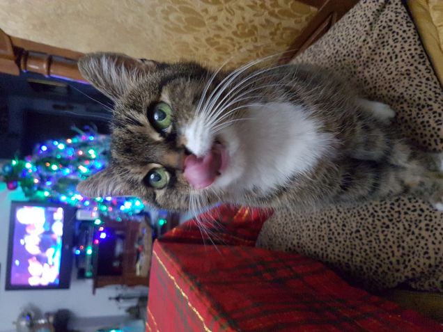 Lo scorso.. e ultimo Natale.. .