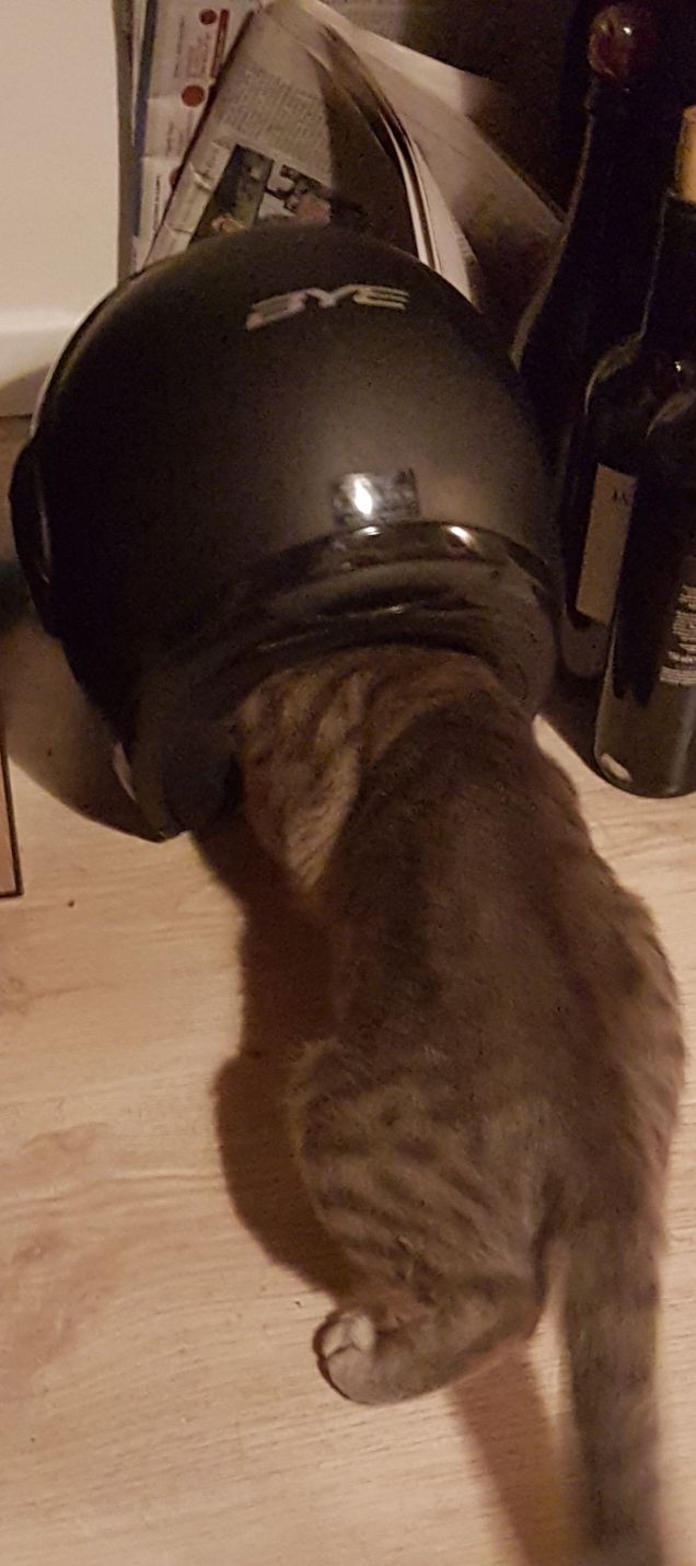 Motocicletta....siii