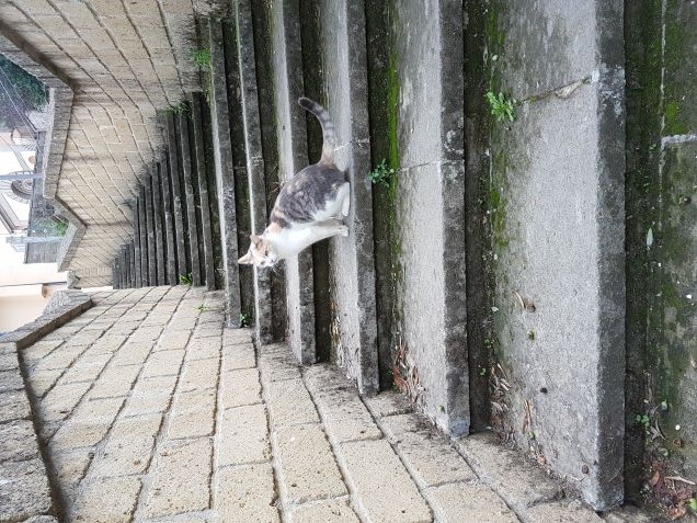 Ti accompagno sotto casa amica mia...