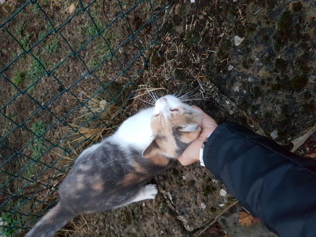 Dopo lavoro.. .Ci sono io ad aspettare la mia amica