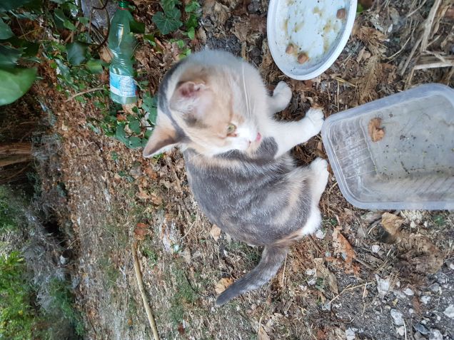 La mia amica.. Che si prende cura di me..