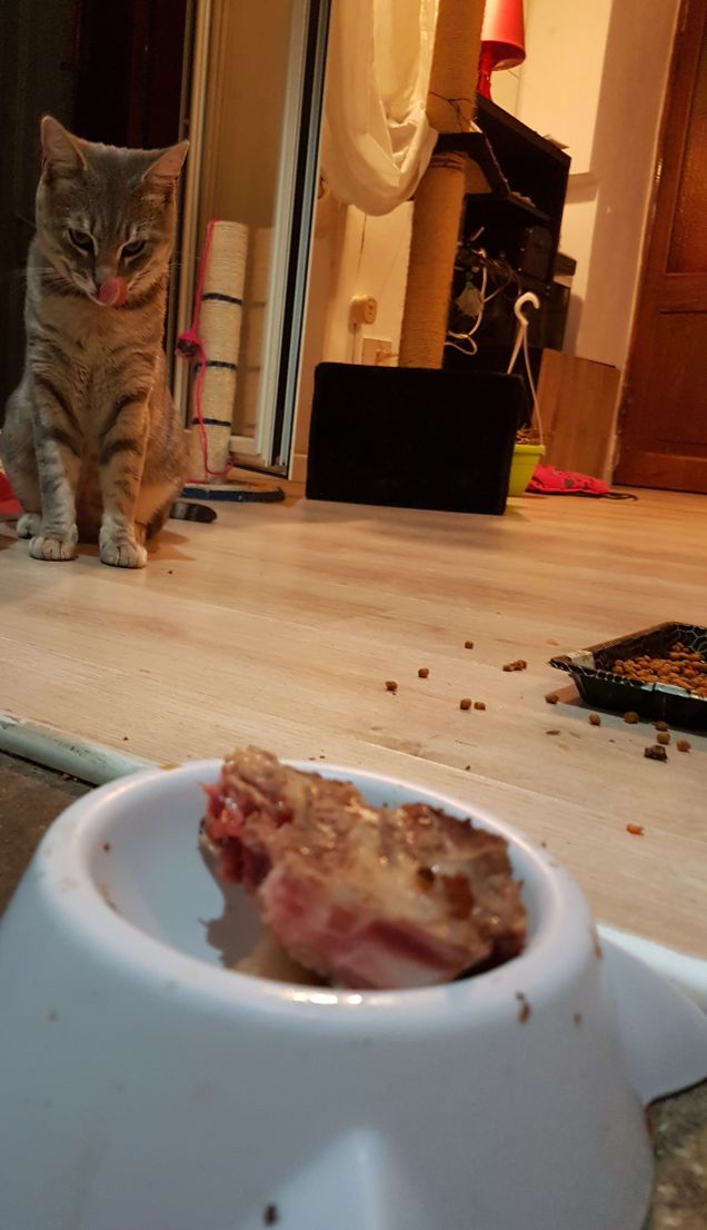 Rotaggio denti... viaaaa