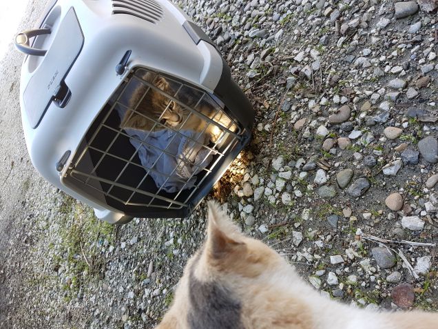 Primo giorno con la mia mammina.. incontriamo bimba...