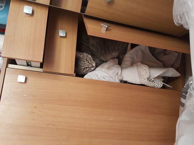 Tutti i posti...sono i miei...