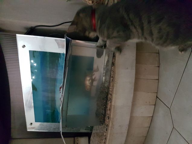 Loco e la sua amica anita