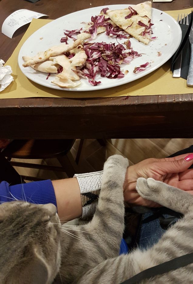 La mia mams mi porta anche in pizzeria..