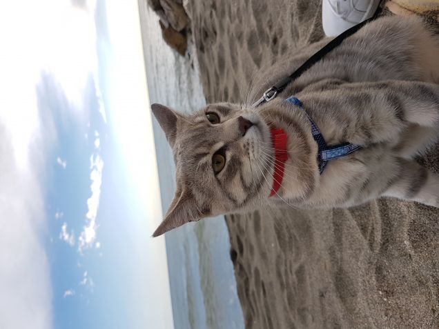 Mhh.. Che grande lettiera