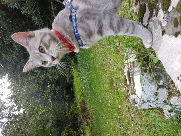 Passeggiata a villa lante 