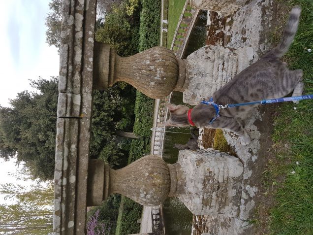 Passeggiata a villa lante 