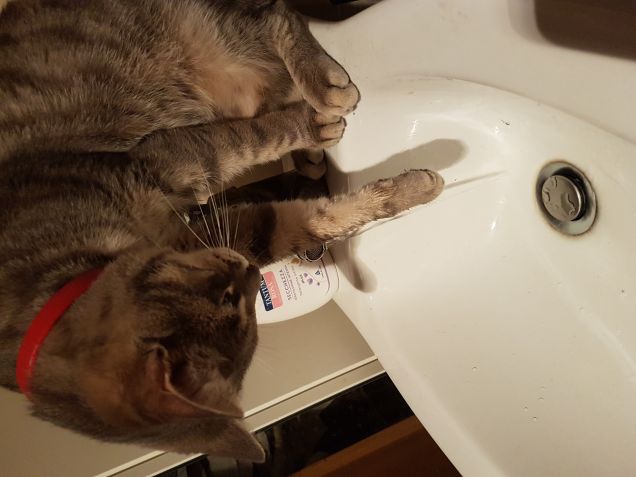 Lavarsi le manine... si mangiaa