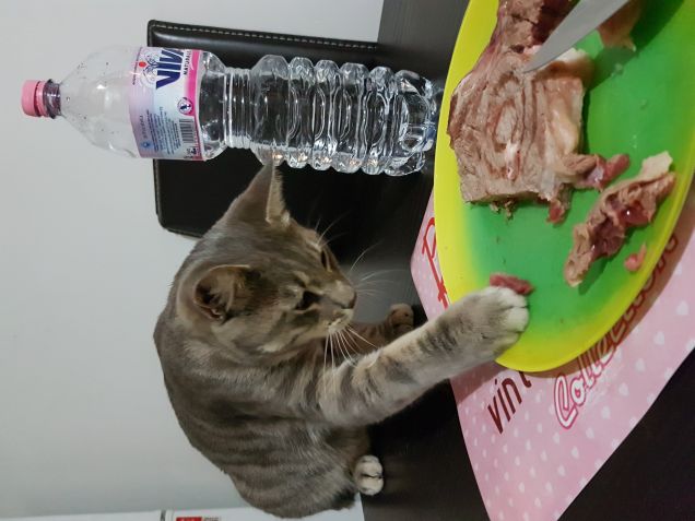 Fa che nn mi vede la mia mams 