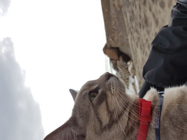 Il mare mi affascina...