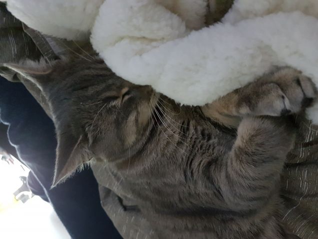 Mi tuffo nei sogni...notte 