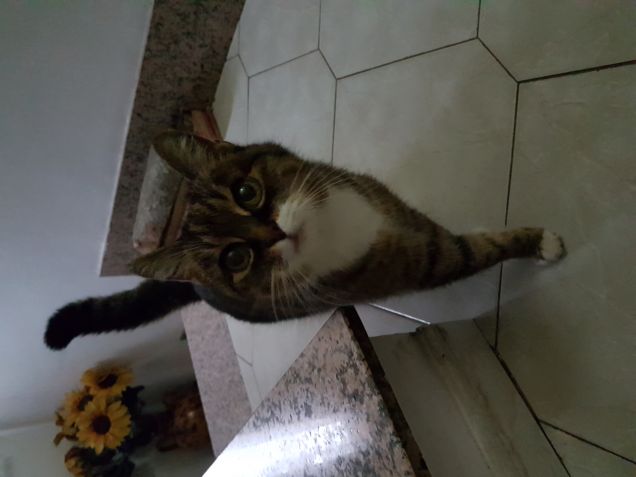 18 anni....e non sentirli...