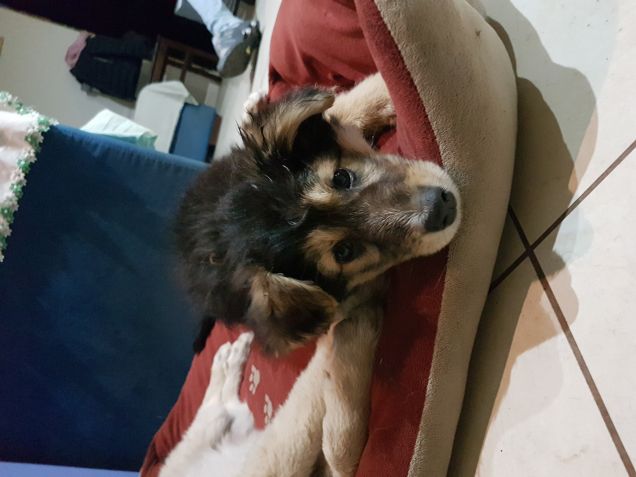 Con i miei fratellini