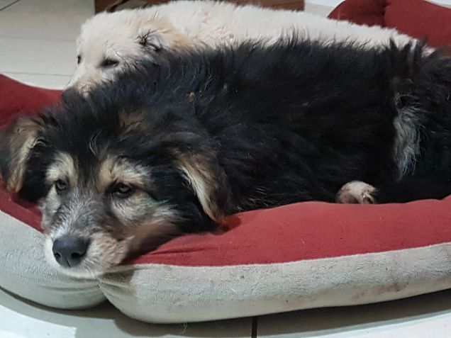 La mia sorellina che mi fa tanti dispetti