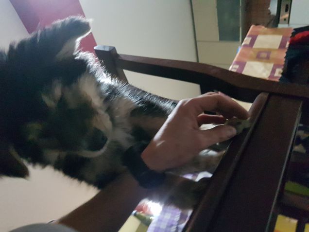 La mano del mio amico