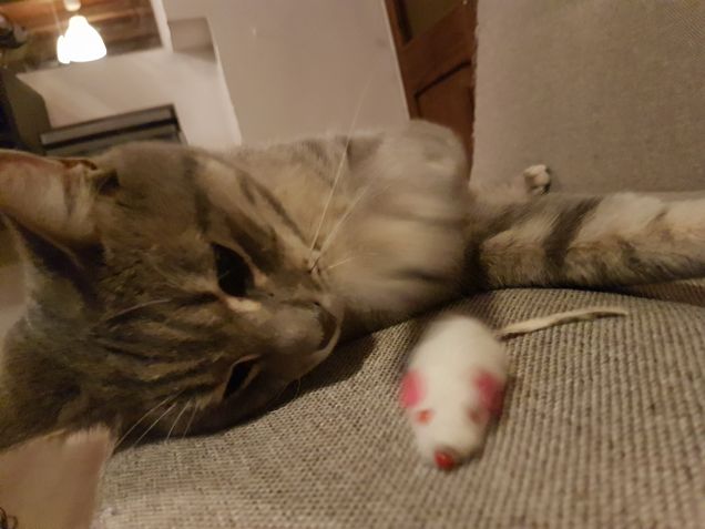 Ti faccio solo una carezza