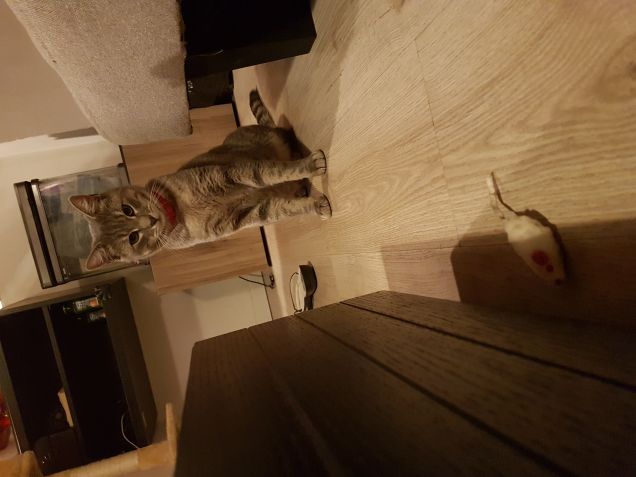 A pochi cm da te mio amico