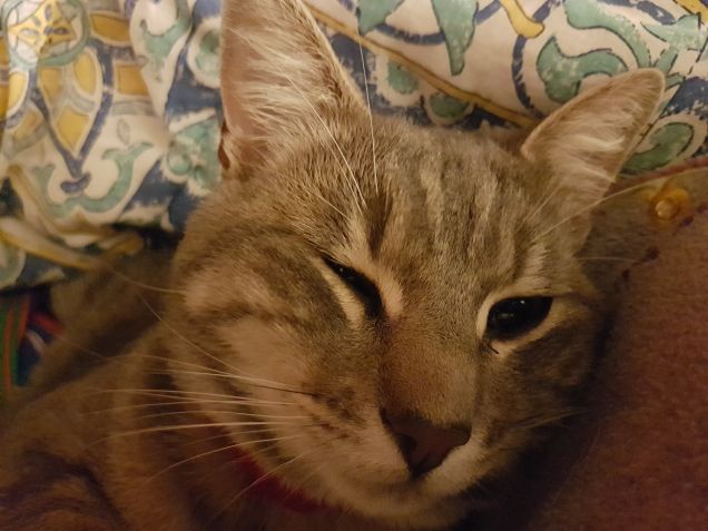 Che bottaaa d sonnoo