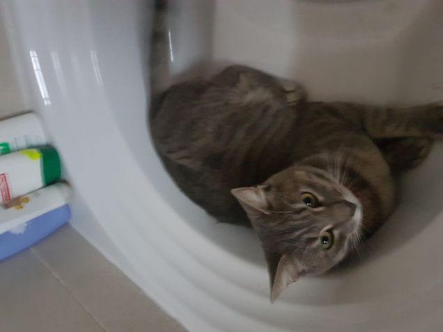 Pronti per il bagnetto 