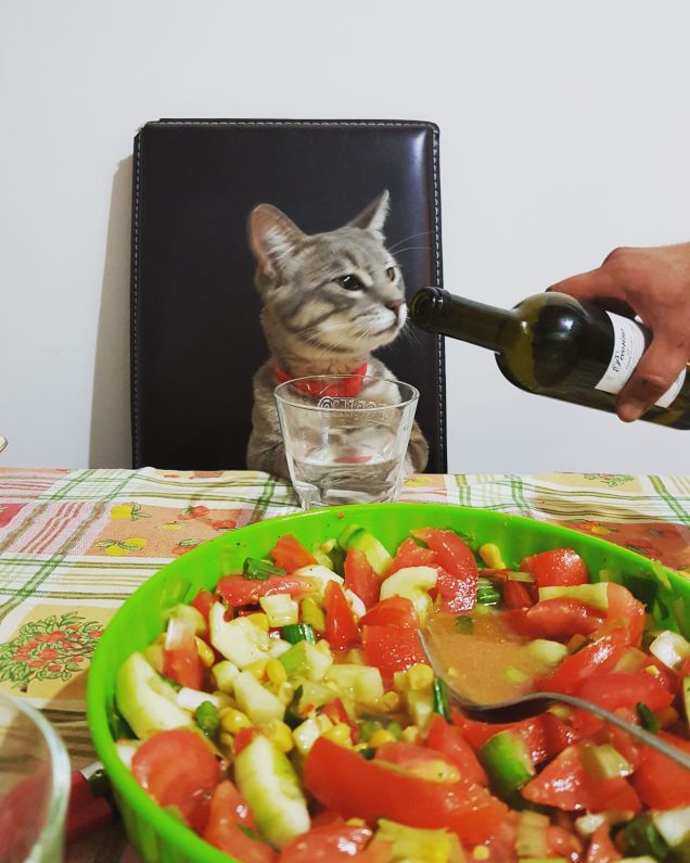 Si...il vino e buono