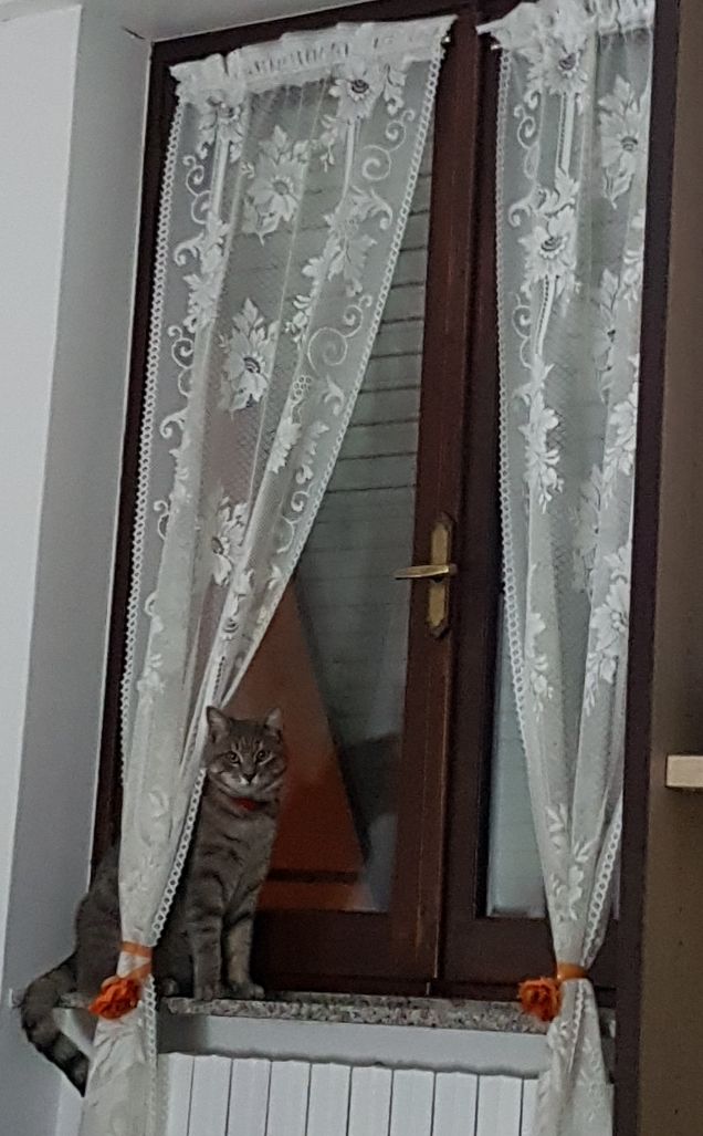 ..... soprammobile.....