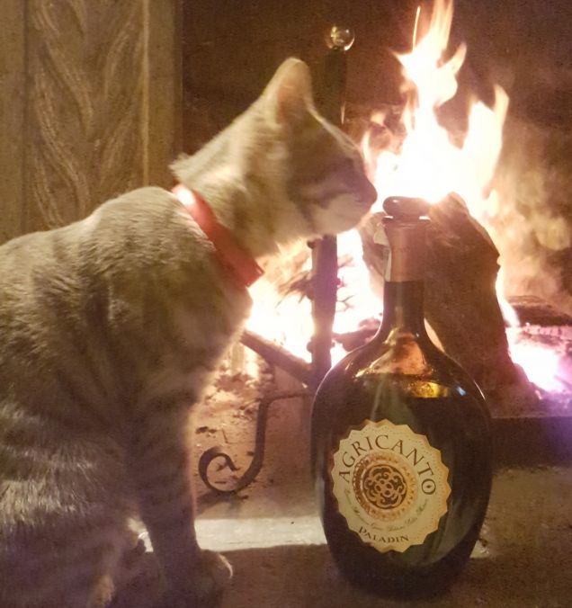 Dovrebbe essere buono...