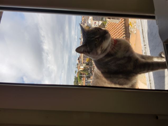 Finestra sempre aperta solo per me