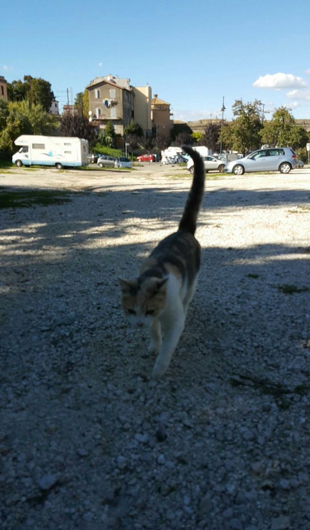 Bimba mi aspetta sempre ..