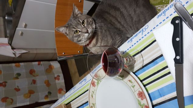 Non è pronta la cena?