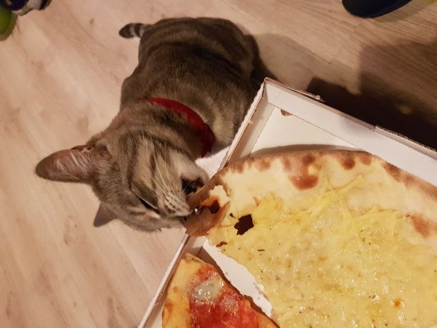 Buonaaa 