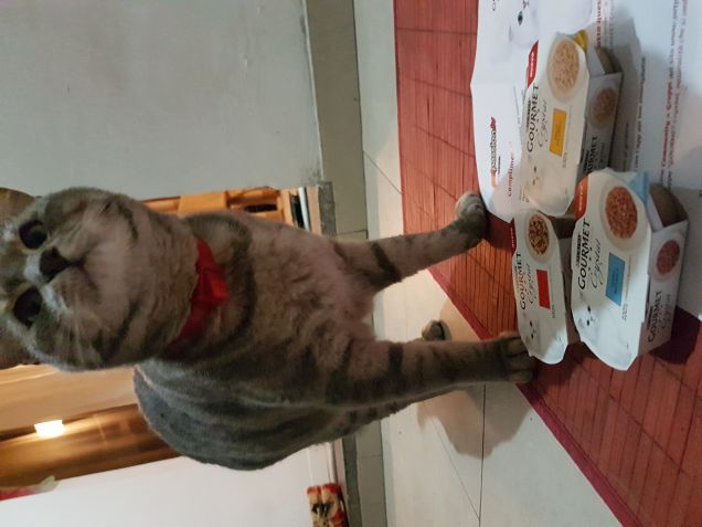 Buonissima...pappaaa