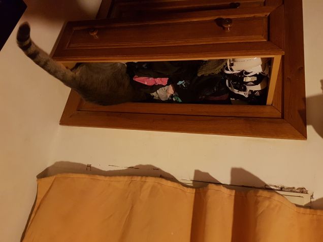 Mettiamo un Po in ordine