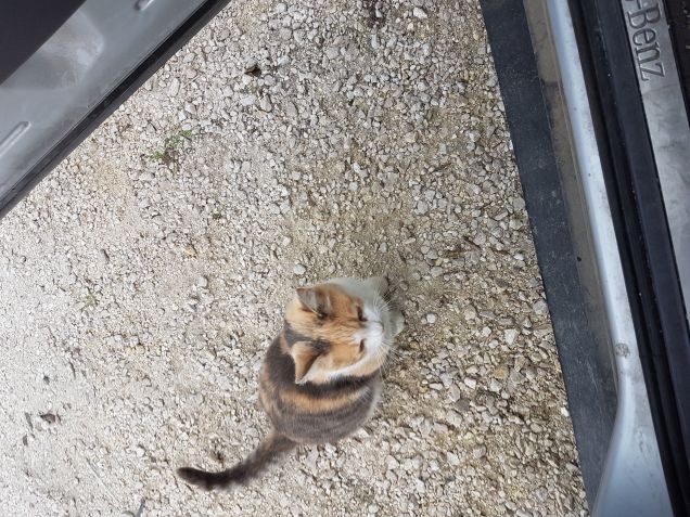 Arrivo io... e lei che mi aspetta sempre...